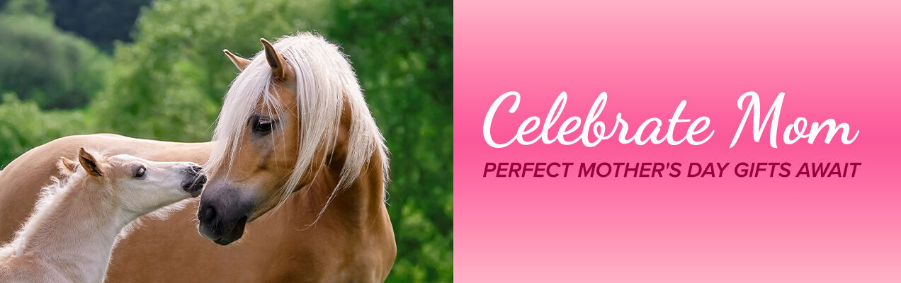 Celebrate Mom: Perfect Mother's Day Gifts Await